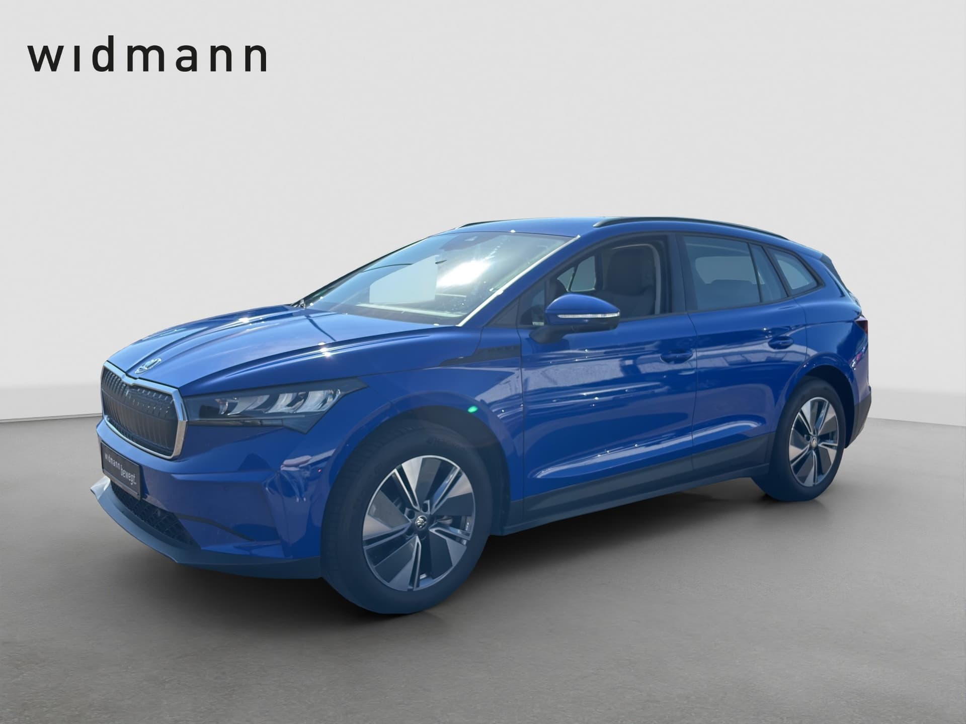 Skoda Enyaq 50 kWh KAMARA NAVI Bild 1