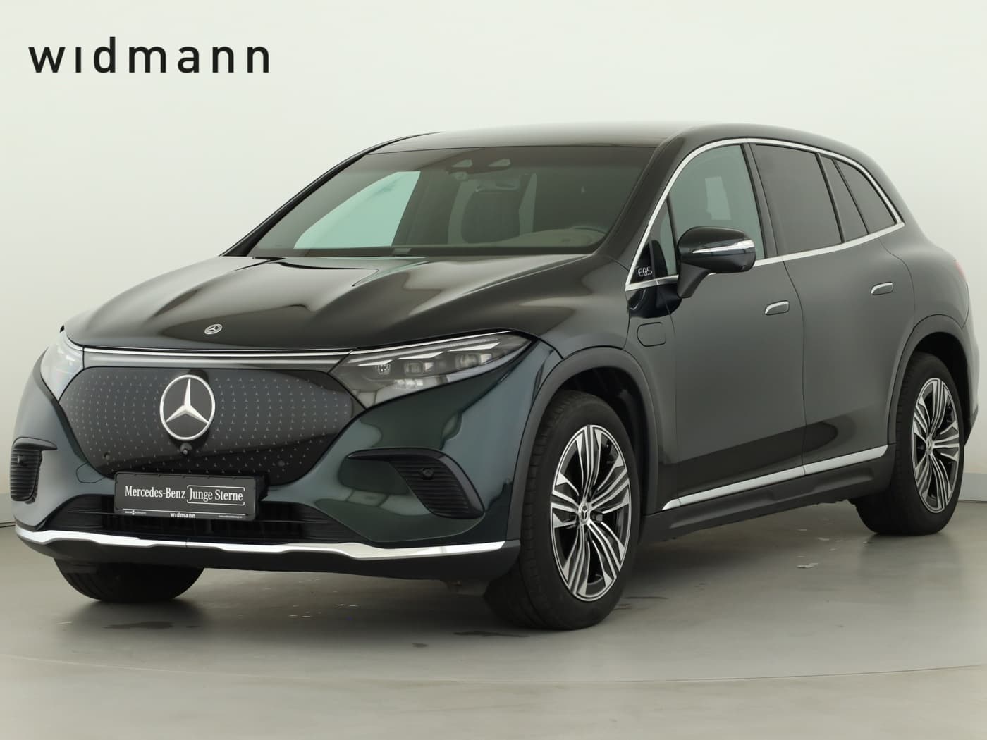 Mercedes-Benz EQS 450 4M SUV Bild 1