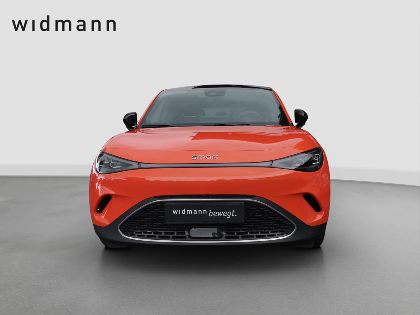 Smart 3 Premium (66kWh) Bild 2