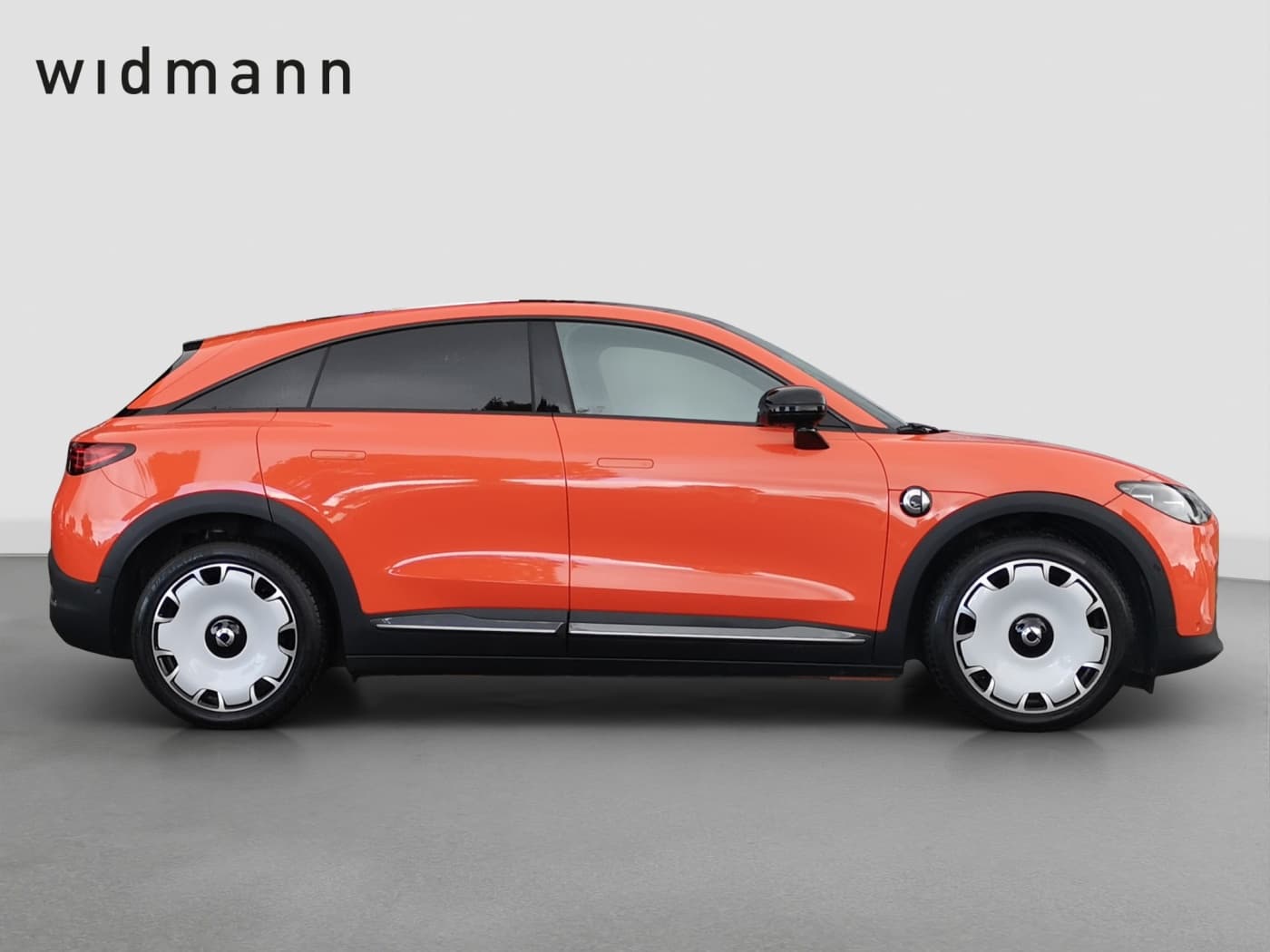 Smart 3 Premium (66kWh) Bild 6