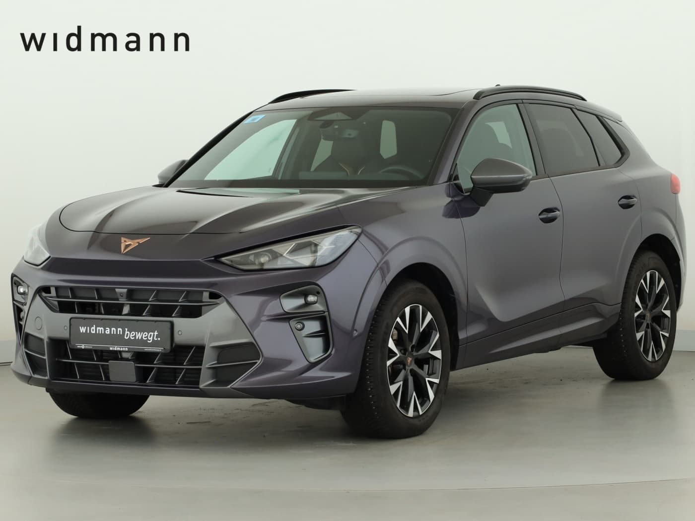 Cupra Terramar 1.5 eTSI Bild 1