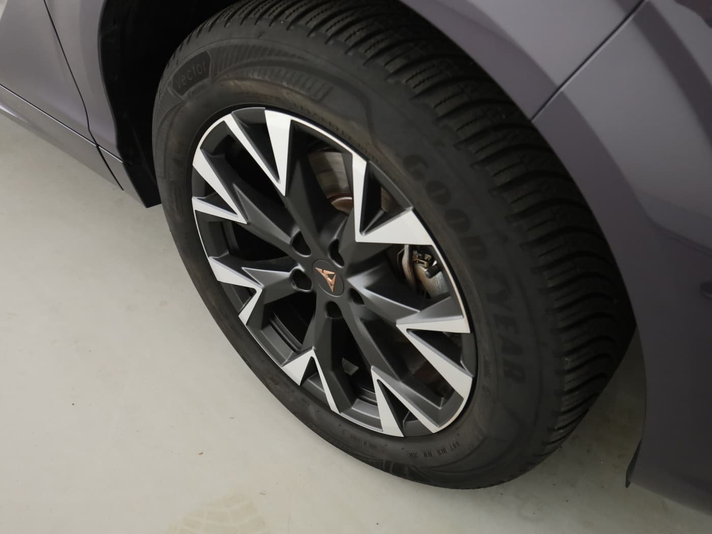 Cupra Terramar 1.5 eTSI Bild 22