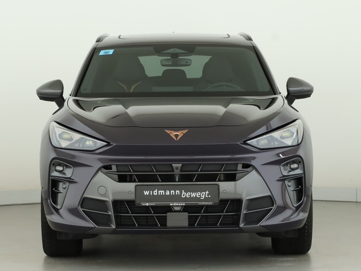 Cupra Terramar 1.5 eTSI Bild 3