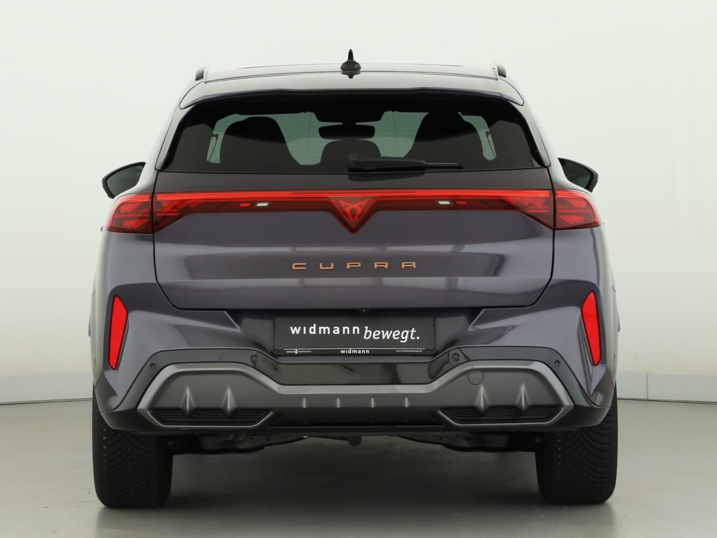 Cupra Terramar 1.5 eTSI Bild 4