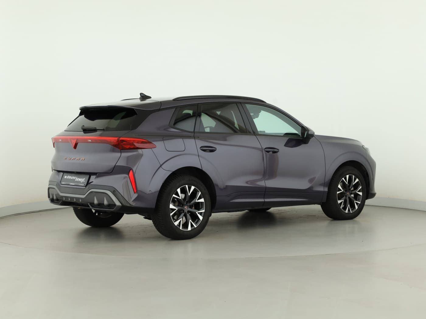 Cupra Terramar 1.5 eTSI Bild 6