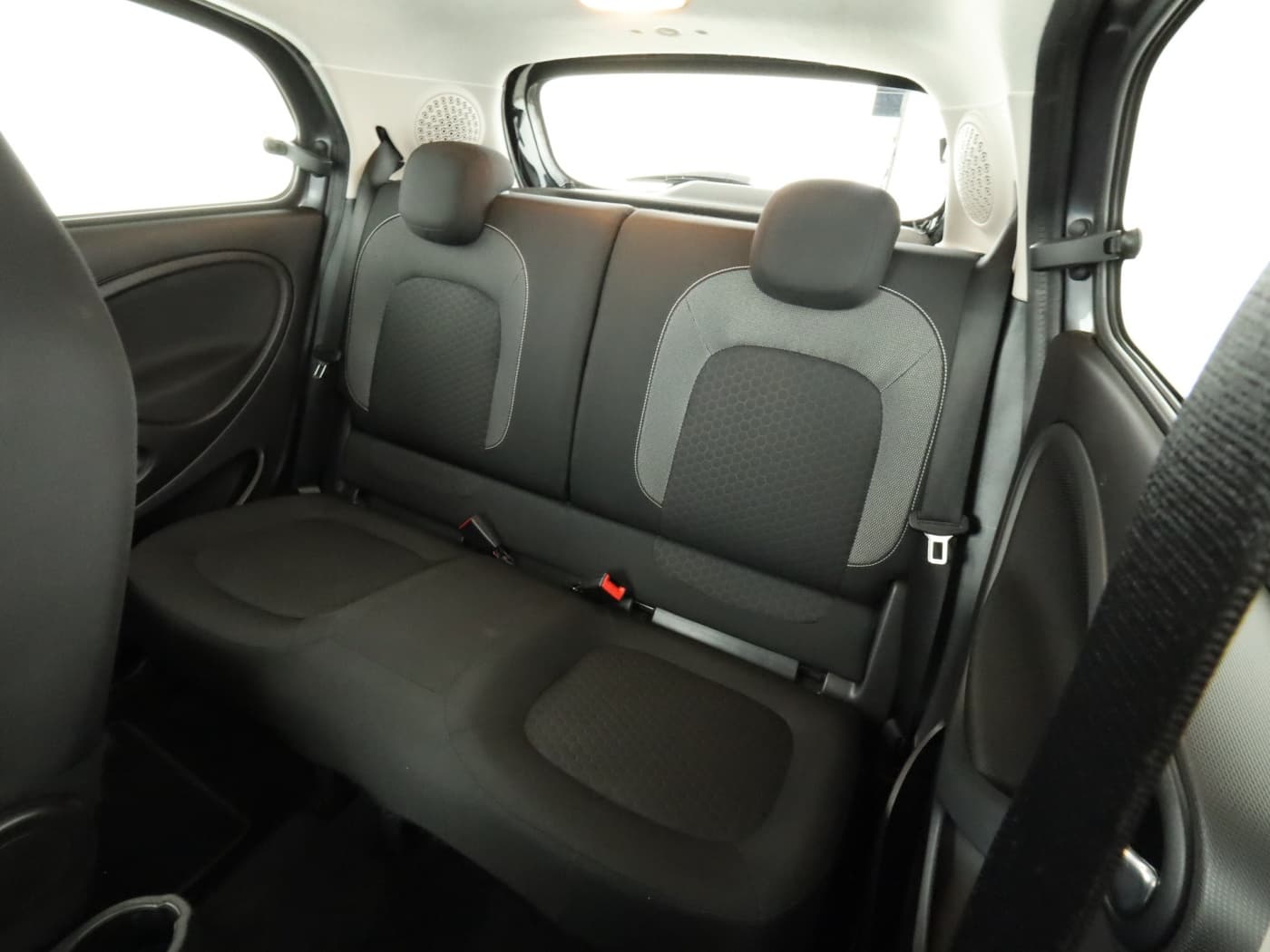 Smart forfour EQ Bild 18