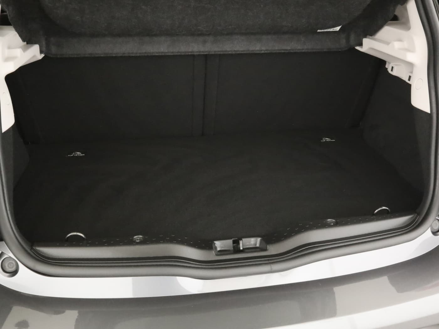 Smart forfour EQ Bild 22